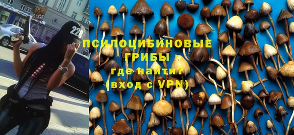 тгк Покачи