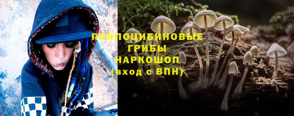 тгк Покачи