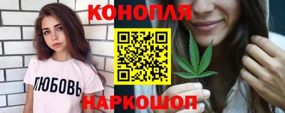 мдпв Бердск