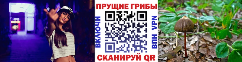 Галлюциногенные грибы мухоморы  Владикавказ 