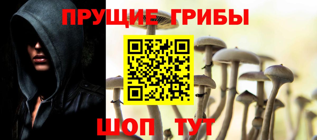 Галлюциногенные грибы MAGIC MUSHROOMS Владикавказ